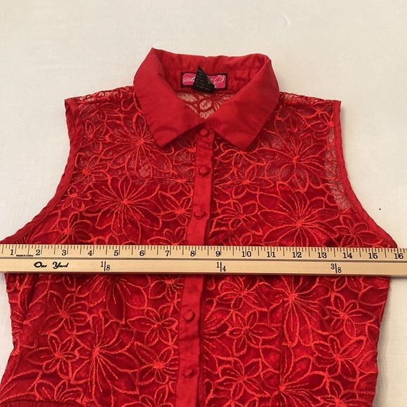 Say What? Dress Red Sleeveless Lace Stain Chiffon Fit and Flair Holiday Dress - Picture 12 of 16